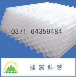 б�ܣ��۱�ϩpp���|��